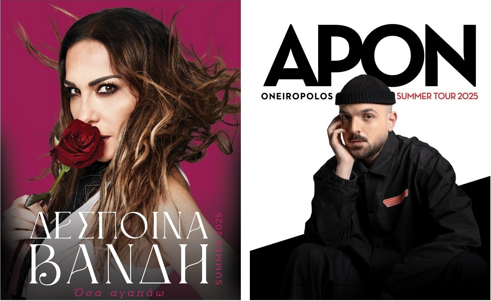 ΔΕΣΠΟΙΝΑ ΒΑΝΔΗ - APON